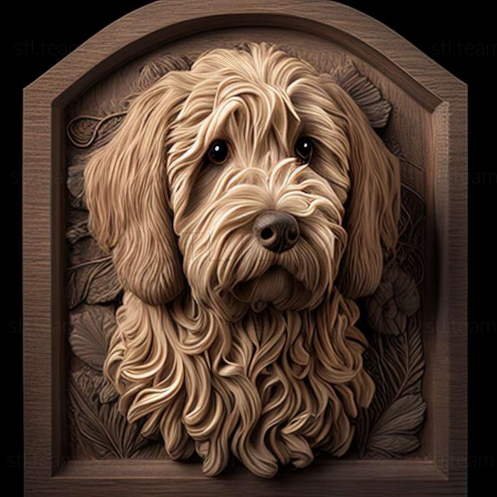 3D model Labradoodle dog (STL)
